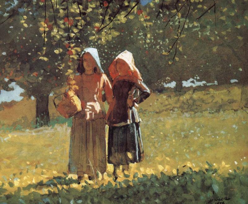 Winslow Homer Mining Apple Germany oil painting art